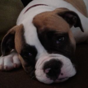 Meet your Posher, Courtney